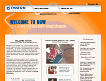 Tablet Screenshot of ethnifacts.com
